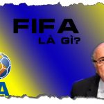 FIFA là gì? Cơ cấu tổ chức của FIFA như thế nào?
