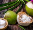 Ăn dừa có tác dụng gì? Lợi ích tuyệt vời của cùi dừa